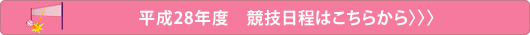 平成28年度競技日程